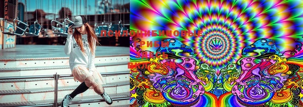 MESCALINE Белокуриха