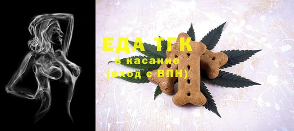 индика Протвино