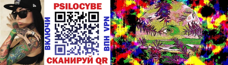 Псилоцибиновые грибы Cubensis  Сорочинск 